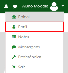 Menu do Usuário - Opção Perfil