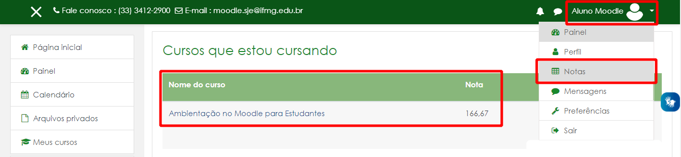 Visualizar notas pelo Menu do usuário